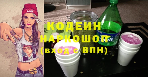 молекула духа Пестово