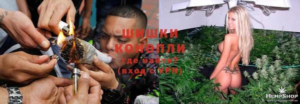 винт Осинники