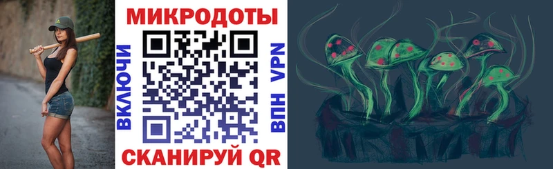 Псилоцибиновые грибы Psilocybine cubensis  Коммунар 