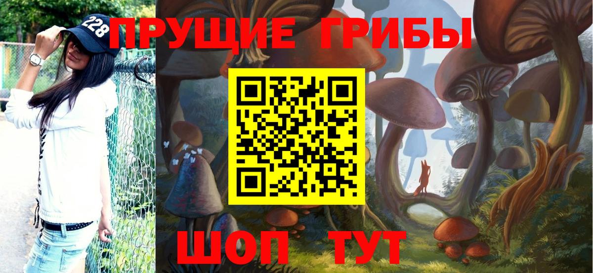 Галлюциногенные грибы Psilocybine cubensis  Вход с VPN  Коммунар 
