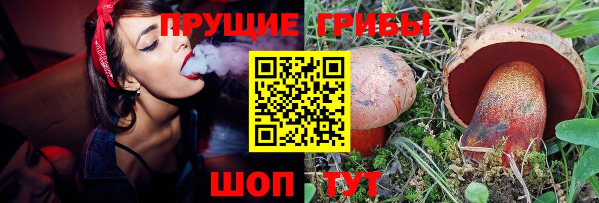 АМФ   Коммунар  Конопля  Cocaine  Экстази  Вход с VPN  Конопля  Мефедрон кристаллы  ГАШ 